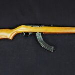 The Fighting 10/22? A Primer On Rimfire Carbines