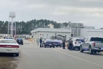 Fired Employee Retrieves AR-15, Stopped by Armed Security Before Entering Mississippi Chicken-Processing Plant