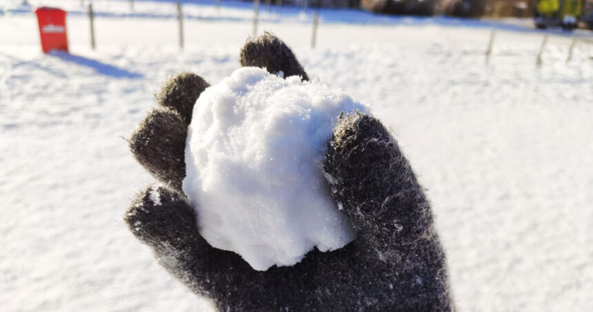 NY Man Claims Self-Defense After Deadly Shooting Over Alleged Snowball Incident