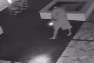 Armed Miami Beach Homeowner Confronts Intruder Who Stole Yogurts, Triggers Overnight Manhunt