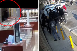 20 vs. 1: Anaheim Jewelry Store Owner Fires a Single Shot, Sends Smash‑and‑Grab Crew Running