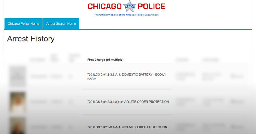 Chicago Shooting: Armed Woman Defends Family From Alleged Domestic Threat