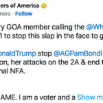 Federal Government Defends Gun Registration Using “Necessary and Proper” Clause