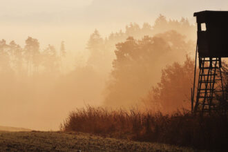 Tragic Hunting Accident Claims Life of Louisiana Man in Lafourche Parish
