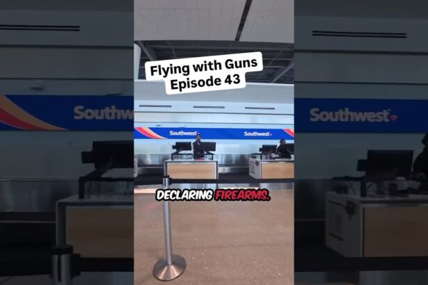 Flying with Guns: Episode 43 – Southwest from MSY to LAS