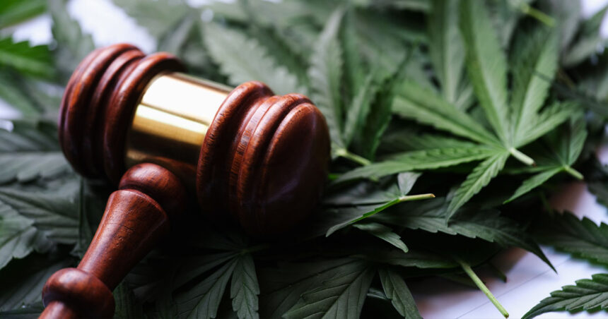 Cannabis and the Second Amendment? Gun and Weed Groups Join Forces in Landmark Case