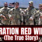 Operation Red Wings: What Actually Happened