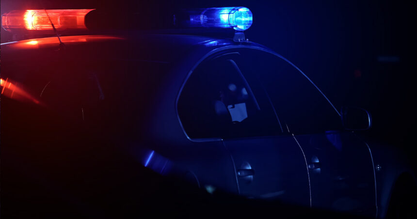 Armed Chicago Homeowner Confronts Intruder in Garage, Suspect Shot in Calf – USA Carry