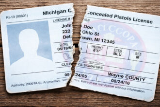 Michigan Could Become 30th Constitutional Carry State Under New House Bills – USA Carry
