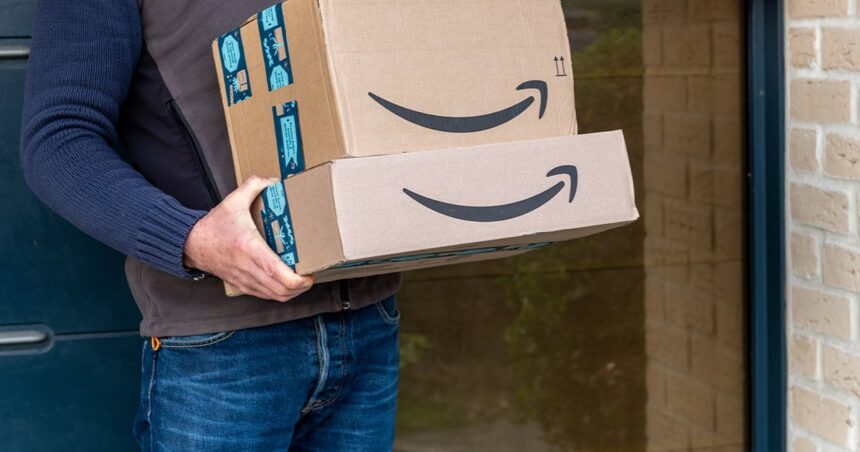 Amazon Driver Forced to Shoot Loose Dog That Attacked Him on Georgia Delivery Route – USA Carry