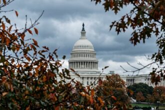 DOJ Drops Appeal, Clearing the Way for ATF to Rewrite “Engaged in the Business” Rule – USA Carry