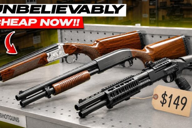 Prices Are Crashing: 10 Shotguns That Are Shockingly Cheap Right Now (July 2026)!