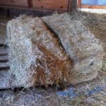 Rural Revolution: A dirty job