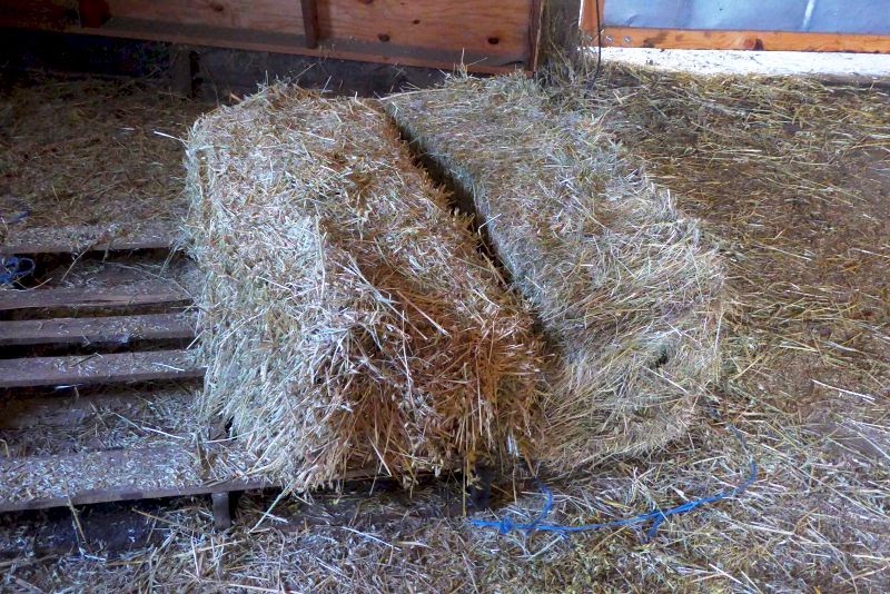 Rural Revolution: A dirty job