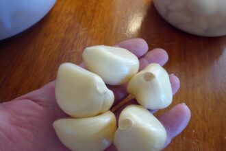 Rural Revolution: A garlic “Eureka”