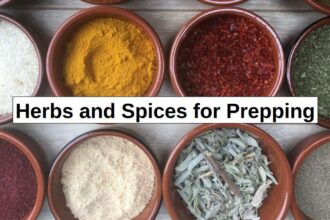 Herbs and Spices for Prepping – reThinkSurvival.com