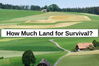 How Much Land for Survival? (My Answer Surprised Me) – reThinkSurvival.com