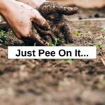 Just Pee On It… – reThinkSurvival.com