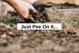 Just Pee On It… – reThinkSurvival.com