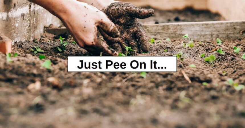 Just Pee On It… – reThinkSurvival.com