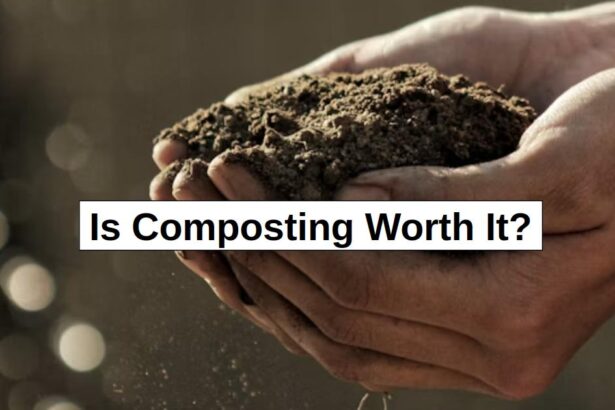 Is Composting Worth It? – reThinkSurvival.com
