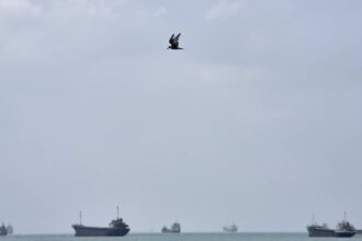 US Hits Iranian Oil Tankers After Attacks on Navy Ships