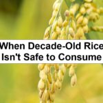 When Decade-Old Rice Isn’t Safe to Consume – reThinkSurvival.com