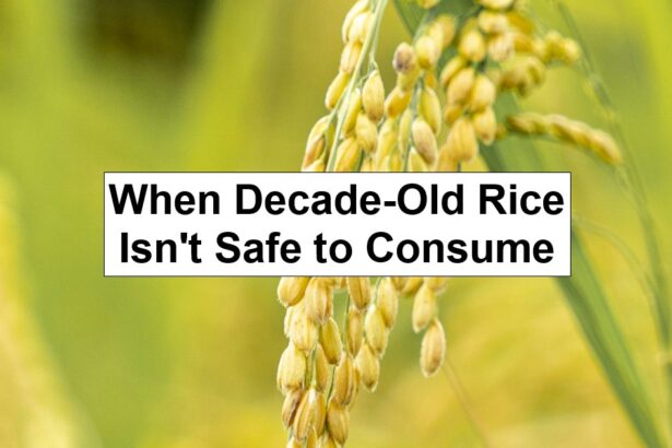 When Decade-Old Rice Isn’t Safe to Consume – reThinkSurvival.com