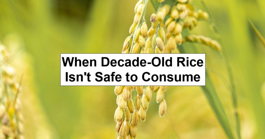 When Decade-Old Rice Isn’t Safe to Consume – reThinkSurvival.com