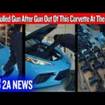 They Pulled Gun After Gun Out Of This Corvette At The Border