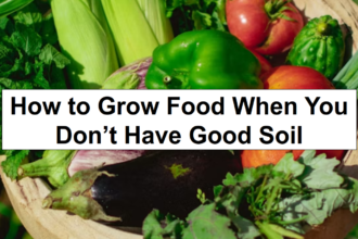 How to Grow Food When You Don’t Have Good Soil – reThinkSurvival.com