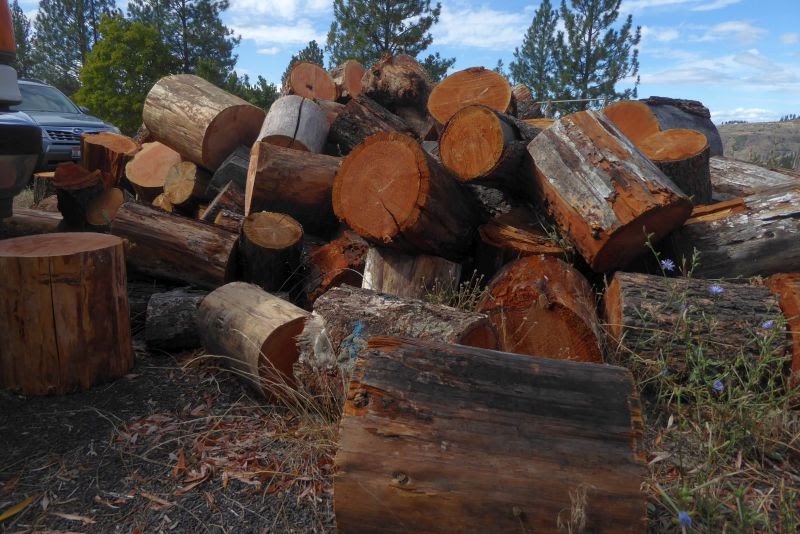 Rural Revolution: Putting up firewood