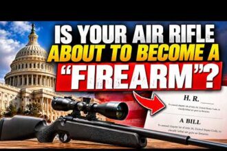 Is Your Favorite Air Rifle A ‘Firearm’ Now?